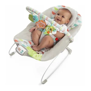 BRIGHT-STARTS-MECEDORA-CON-VIBRACION-Y-MUSICA-11508-12227_0003